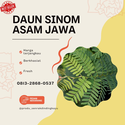 daun sinom 5.jpg