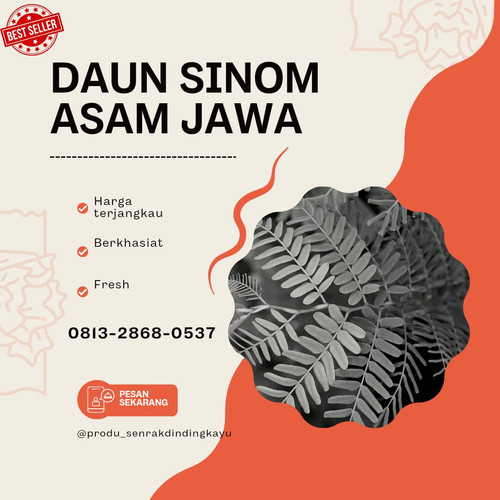 daun sinom 2.jpg