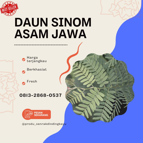 daun sinom 4.jpg