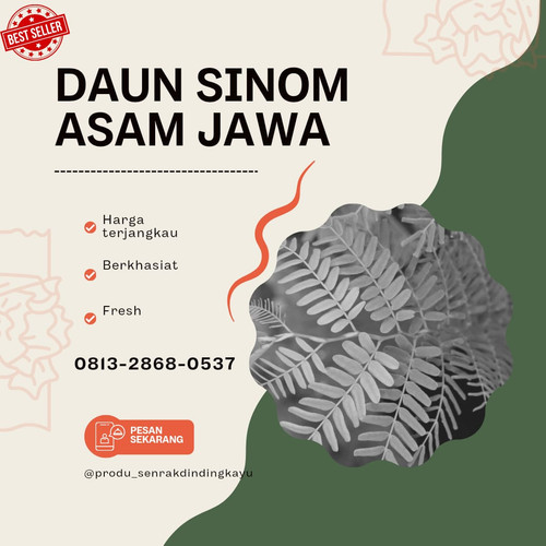 daun sinom 1.jpg