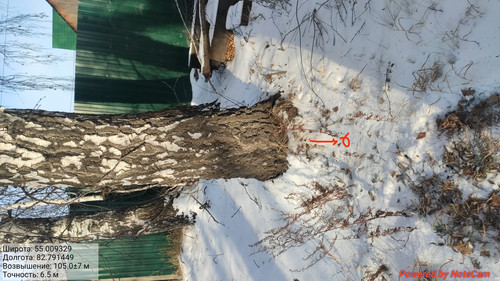 IMG 20221124 192310.jpg