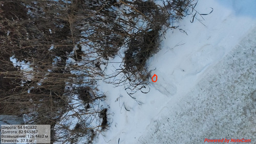 IMG 20221124 202308.jpg