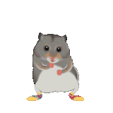 wiMvAcoKmOM6Itjis35nlE0K.gif