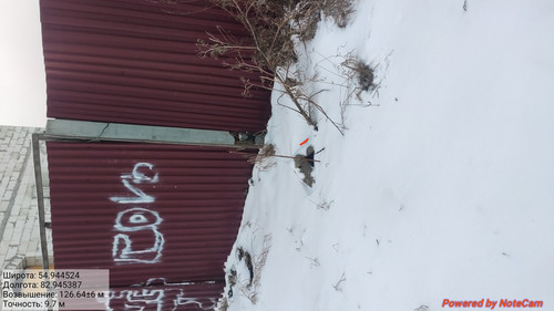 IMG 20221124 201707.jpg