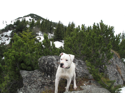 IMG 1537.jpg