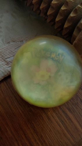 1685810261037.jpg