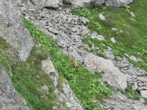 IMG 0242.jpg
