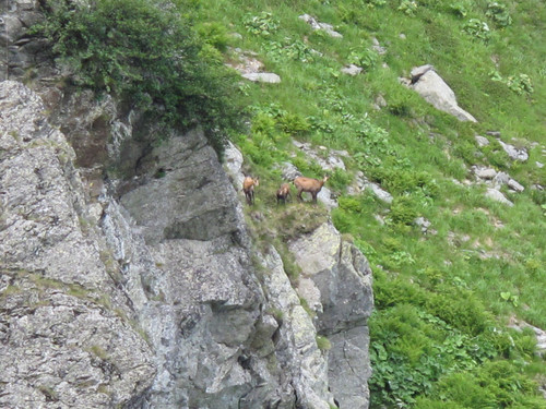 IMG 0243.jpg