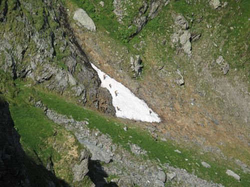 IMG 1180.jpg