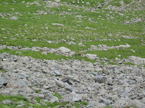 IMG 0236.jpg