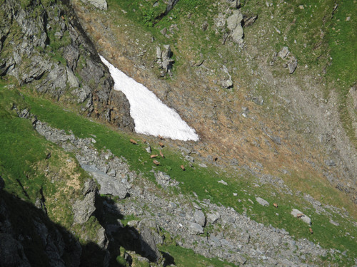 IMG 1187.jpg