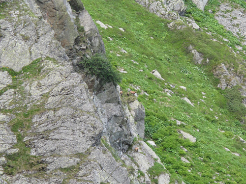 IMG 0244.jpg