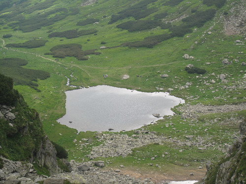 IMG 1140.jpg