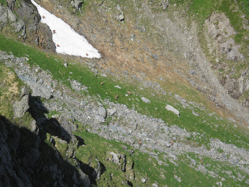 IMG 1178.jpg