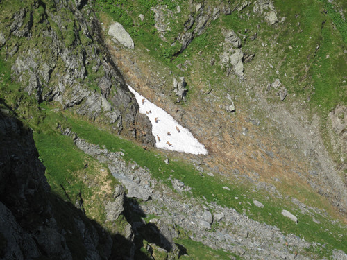 IMG 1183.jpg