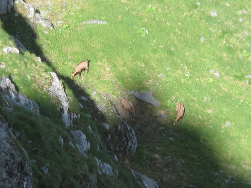 IMG 1171.jpg