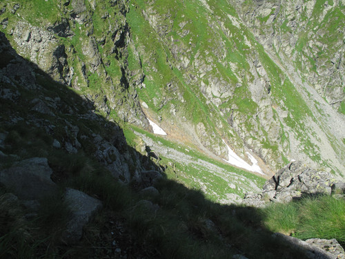 IMG 1185.jpg