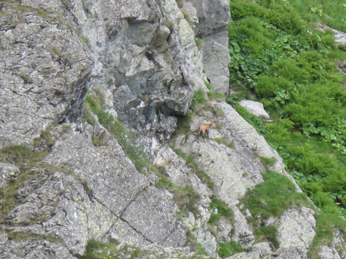 IMG 0240.jpg