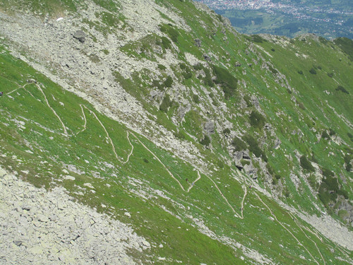 IMG 1204.jpg