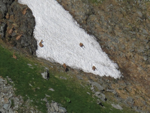 IMG 1165.jpg