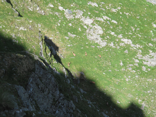 IMG 1173.jpg