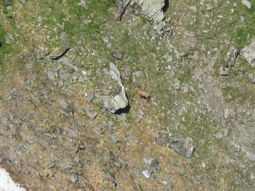 IMG 1162.jpg