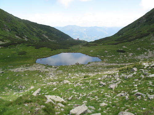 IMG 0814.jpg