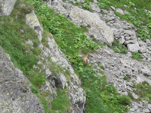 IMG 0241.jpg