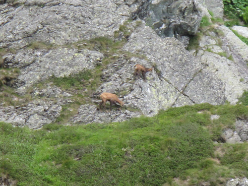 IMG 0235.jpg
