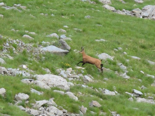 IMG 0237.jpg