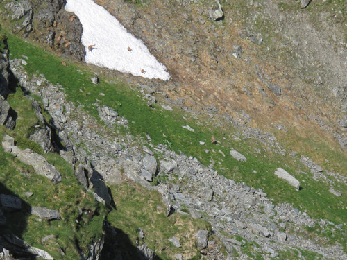 IMG 1167.jpg