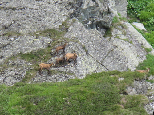 IMG 0234.jpg