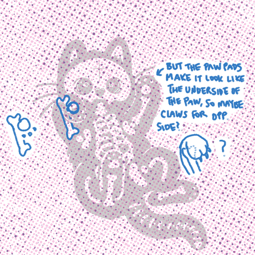 kitty.png