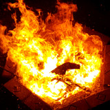 Screenshot 20230603 112651 Video Player