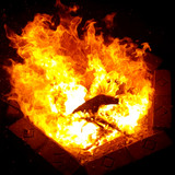 Screenshot 20230603 112931 Video Player