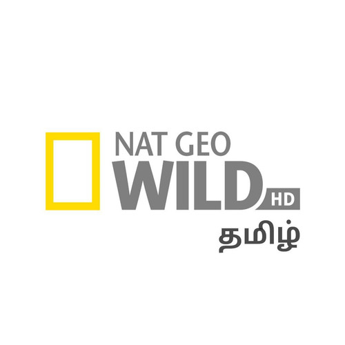 photo 6332204330878350867 y.jpg