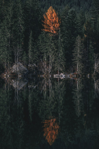 Commercial Photo (350).jpg