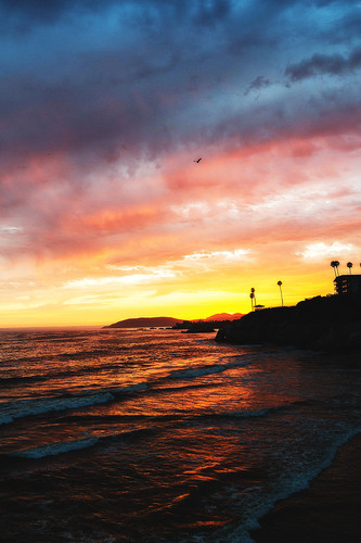 Commercial Photo (374).jpg