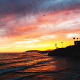 Commercial Photo (374)