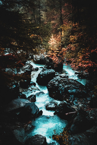 Commercial Photo (346).jpg