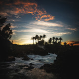 Commercial Photo (339)