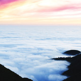 Commercial Photo (375)