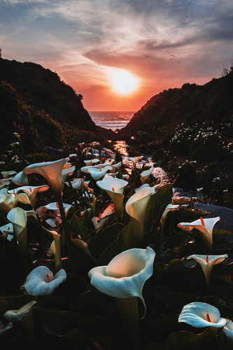 Commercial Photo (376).jpg