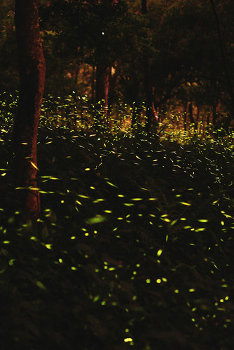 Commercial Photo (387).jpg