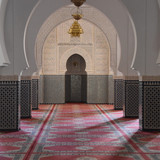 Commercial Photo (456)