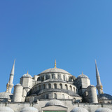 Commercial Photo (461)