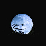 Commercial Photo (471)