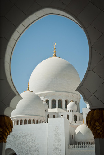 Commercial Photo (500).jpg