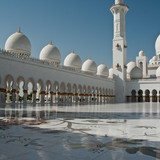 Commercial Photo (501)