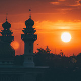 Commercial Photo (483)